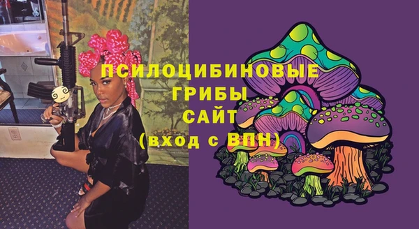 гашик Арсеньев