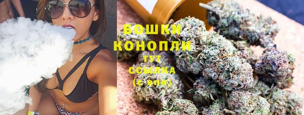 PSILOCYBIN Баксан
