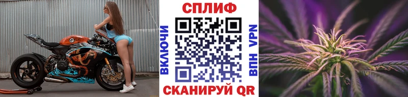 наркотики  Кологрив  Каннабис VHQ 